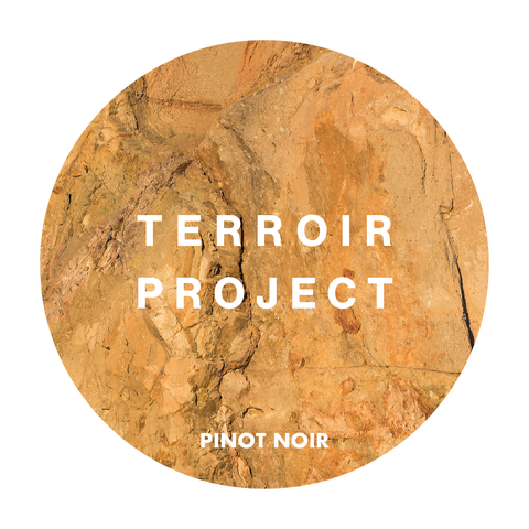 2022 Terroir Project Pinot Noir 20L Keg