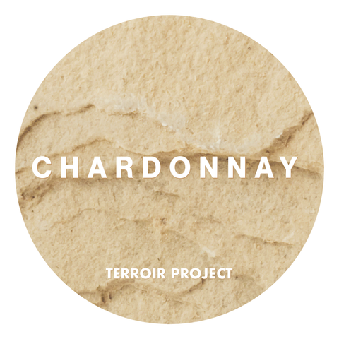 2022 Terroir Project Chardonnay 20L Keg