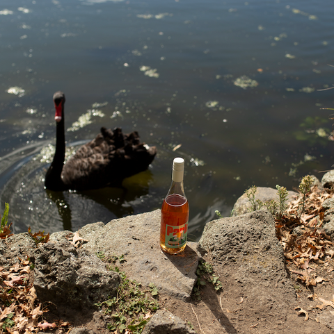 Park Wine Orange