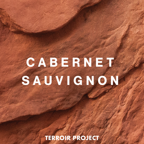 2021 Terroir Project Cabernet Sauvignon 750ml