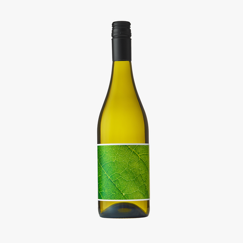 2023 Terroir Project Sauvignon Blanc