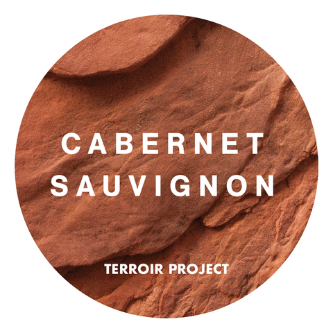 2021 Terroir Project Cabernet Sauvignon 20L Keg